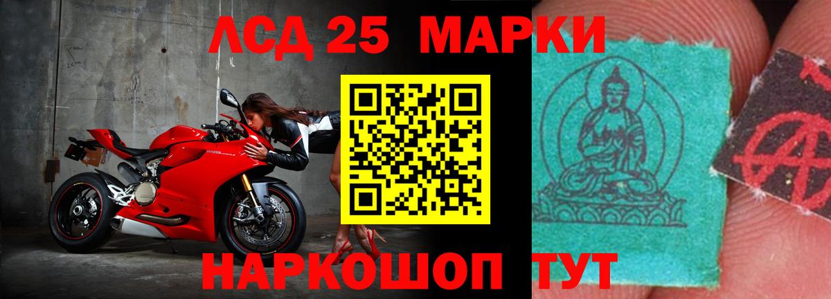 МЕФ Белгород